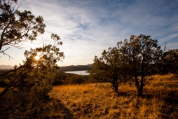 UNBRANDED Arizona