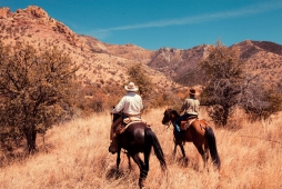 UNBRANDED Arizona