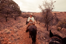 UNBRANDED Arizona
