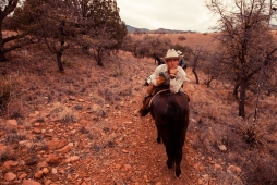 UNBRANDED Arizona