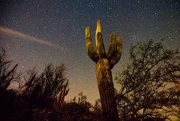 UNBRANDED Arizona