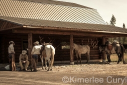 Unbranded the film