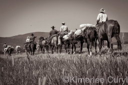 Unbranded the film
