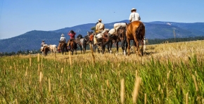 Unbranded the film