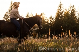Unbranded the film