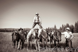 Unbranded the film