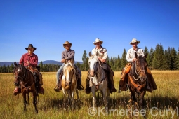 Unbranded the film