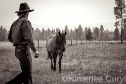 Unbranded the film
