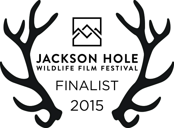 Jackson Hole Wildlife Film Festival Winner 2015